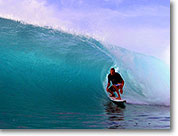 surf2.jpg